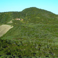 2006090520