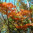 2006100862