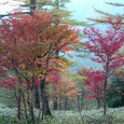 2006101632