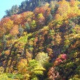 20061021392