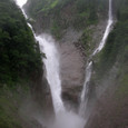 2006071831